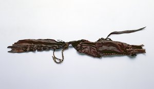 Fragment van huid gevonden bij de Oetzi-ijsman